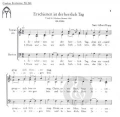Erschienen ist der herrlich Tag (Albert Kupp) 