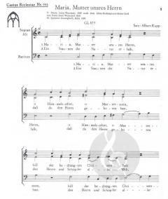 Maria, Mutter unsres Herrn (Albert Kupp) 