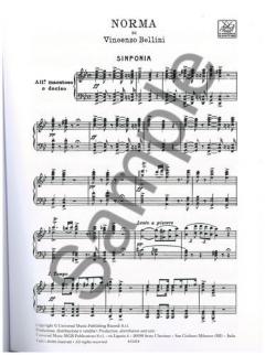 Norma von Vincenco Bellini 