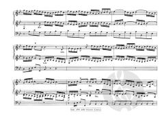 VI Concerto Brandeburghese B-Dur von Johann Sebastian Bach 