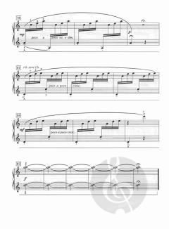 Song of the Seasons, Level 5 von Jeanine Yeager 