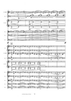 Dream of Saga Op. 39 von Carl Nielsen 