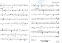 Guitar Partner von Cees Hartog 