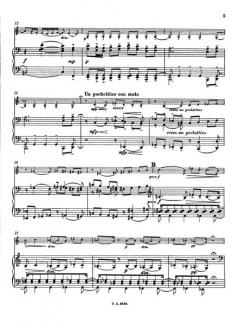 Romanze in C op. 42 von Jean Sibelius 