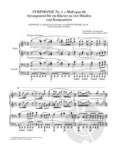 Symphonien Nr. 1 c-moll op. 68 und Nr. 2 D-dur op. 73 von Johannes Brahms 