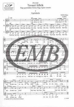 Tavaszi felhök (Peter Toth) 