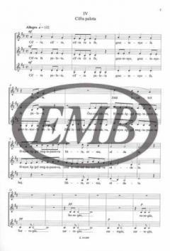 Tavaszi felhök (Peter Toth) 