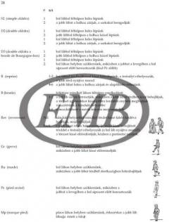 Französische Tänze aus der Renaissance für vier Blockflöten (Janos Bali) 