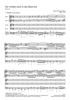 Sie werden euch in den Bann tun I (J.S. Bach) 