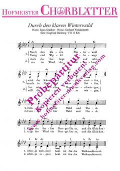 Durch den klaren Winterwald (Gerhard Wohlgemuth) 