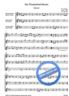 Das Wunderkind Mozart (Wolfgang Amadeus Mozart) 