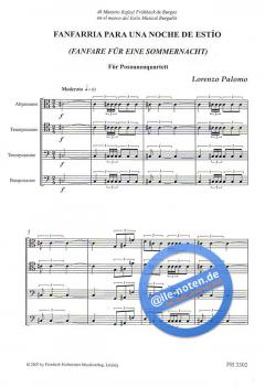Fanfarria para una noche de Estío von Lorenzo Palomo 
