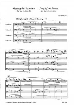 Gesang der Schwäne / Song Of The Swans von Harald Banter 