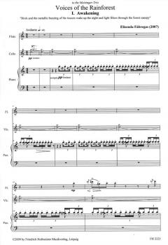 Voices of the Rainforest (Elisenda Fábregas) 