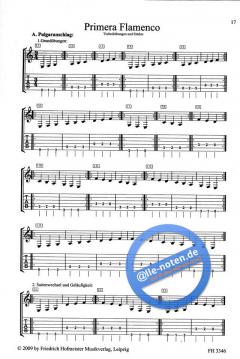 Bravo Flamenco von Volker Luft 