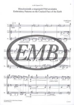 Embroidery Patterns on the Cracked Face of the Earth von Gyula Csapó für Holzbläser Trio im Alle Noten Shop kaufen