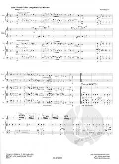 Klezmer für Kammerensemble (Dr. Hubert Stuppner) 