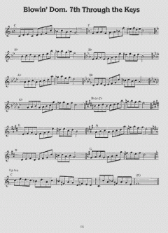 The Complete Jazz Flute Book von William Bay 