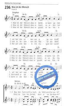 Durch Hohes und Tiefes 