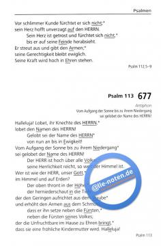 Durch Hohes und Tiefes 