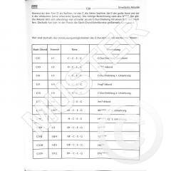 Rock Guitar Basics von Peter Fischer 