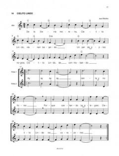 Spielbuch zu Flöten queren 2 von Barbara Metzger im Alle Noten Shop kaufen