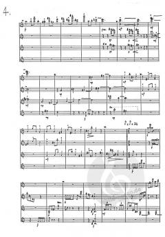 Sometimes You Can Hear The Birds Sing von Martyn Brabbins 