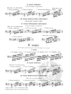 Scales and Arpeggios Book 2 von Zbigniew Drzewiecki 
