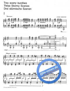 3 stürmische Szenen von Stefan Kisielewski 