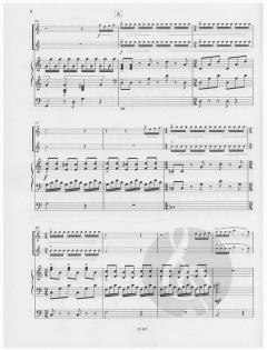 Vivaldissimo von Enjott Schneider 