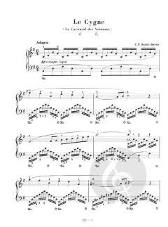 Der Schwan von Camille Saint-Saëns 