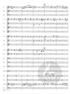 Baby Elephant Walk (Henry Mancini) 