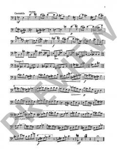 20 Studien von František Hertl 