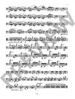 Solo für Herrn Dulzian (Ivan Kurz) 