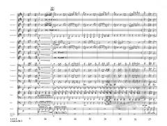 Y.M.C.A. von Henri Belolo 