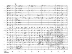 Y.M.C.A. von Henri Belolo 