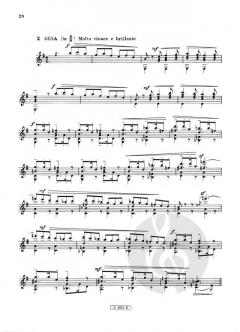 Appunti Vol. II/1 von Mario Castelnuovo-Tedesco 