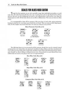 Rockin' The Blues: Guitarists 1963-1973 von Dave Rubin 