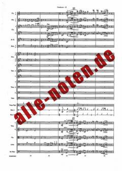 Harry Potter and the Chamber of Secrets Selections von John Williams 