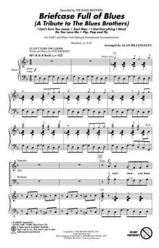 Briefcase Full Of Blues von The Blues Brothers (Download) 