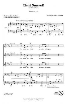 That Sunset! (Audrey Snyder) 