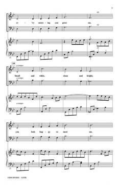 Edelweiss From The Sound Of Music (Richard Rodgers) 