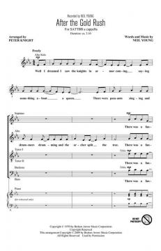 After The Gold Rush (Neil Young) 