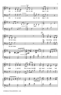 Sunrise At Yellowstone (From American Landscapes) (Audrey Snyder) 