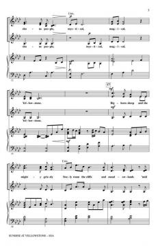 Sunrise At Yellowstone (From American Landscapes) (Audrey Snyder) 