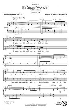 It's Snow Wonder von Stephen Lawrence 