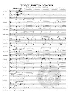 Taylor Swift In Concert (Taylor Swift) 