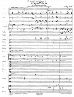 Allegro Volante (Daniel Dorff) 