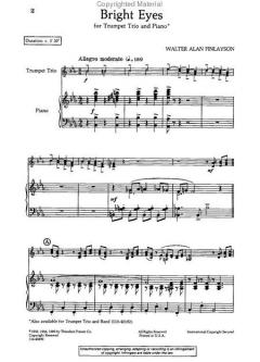 Bright Eyes von Walter A. Finlayson 