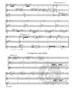 Musical Amulets von Robert Martin 